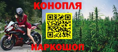 СК Краснодар